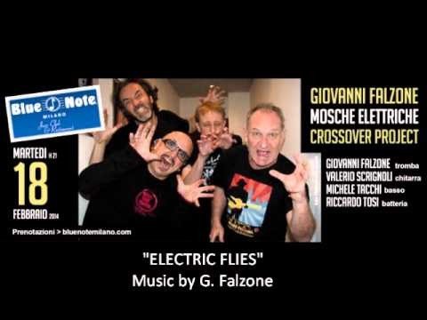 Electric Flies