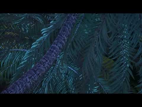 Stay Hollow (with Mossy.)