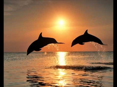Markus Schulz - Daydream