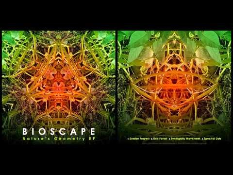 Bioscape - Dub Forest