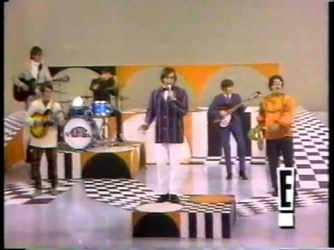 The Turtles - Happy Together