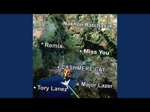 Miss You - Major Lazer &amp; Alvaro Remix