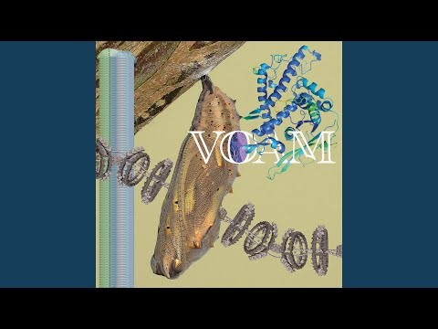 Frogspawn