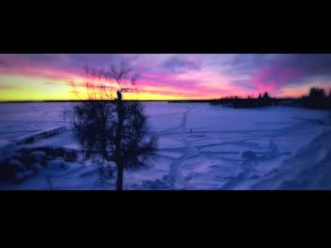 Whisper Of Trees