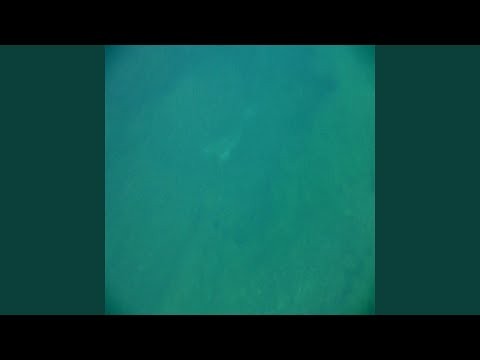 Salmon Loops