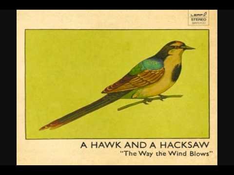 A Hawk and a Hacksaw - Salt Water
