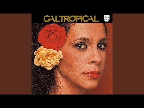Meu Nome é Gal