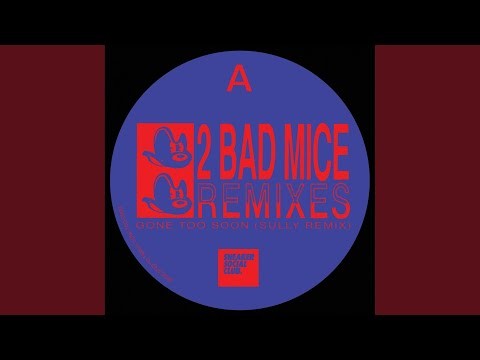 Gone Too Soon - Sully Remix