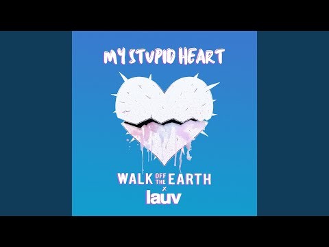 My Stupid Heart (with Lauv)