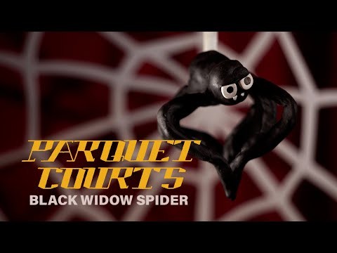 Black Widow Spider