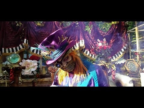 Were All Mad Here