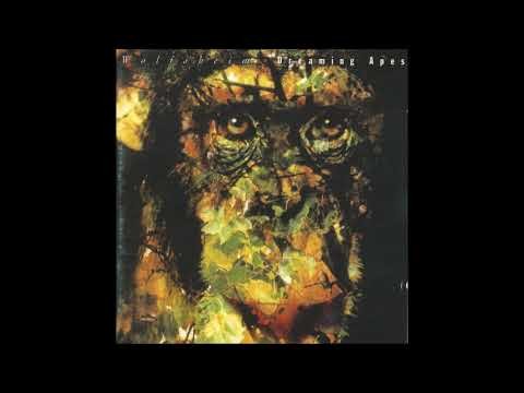 A Broken Whisper