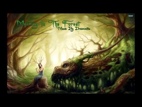 Morning In The Forest