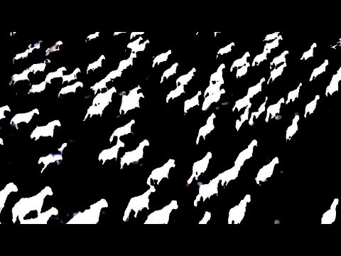 White Horses