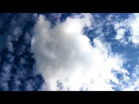 Voce Del Vero Correre