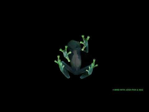 4 Mind (with Josh Pan And X&amp;g)