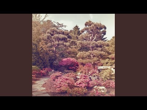 ???????? - Filter Sky