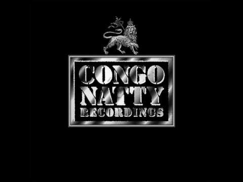 Junglist (serial Killaz Remix)