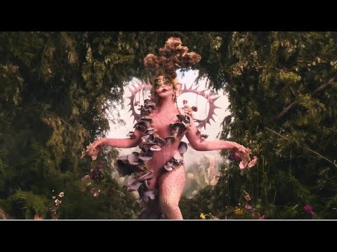 The Contortionist