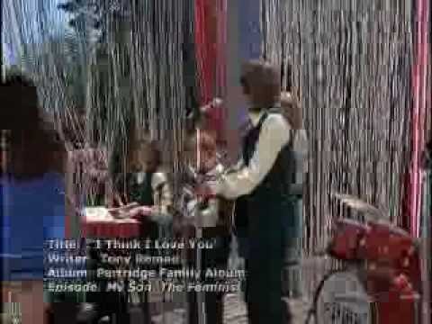 The Partridge Family - I Think I Love You