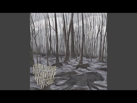 Celladoor (the Netherlands, 2011)