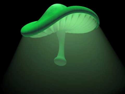Mushrooms (martin Eyerer Remix)