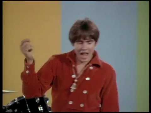 Daydream Believer