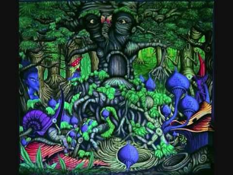 Forest Shaman