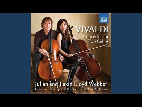 Cello Concerto In E Minor, Rv 409: Ii. Allegro