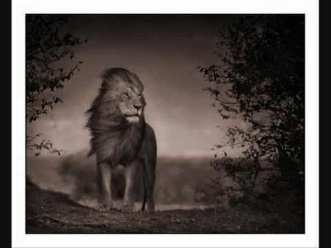 Sizzla - Like Mountain