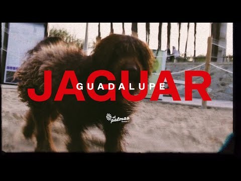Guadalupe
