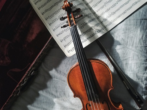Violin