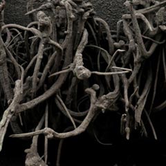 tag - Roots